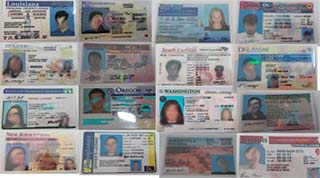 Best Fake IDs